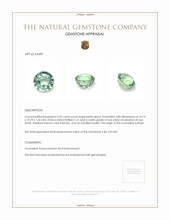 4.96 Ct. Tourmaline from Brazil Appraisal