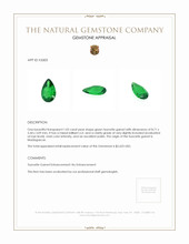 1.05 Ct. Tsavorite Garnet from Madagascar Appraisal