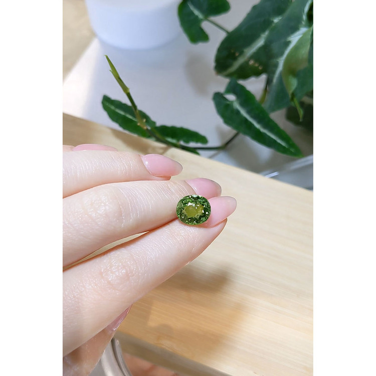 5.54 Ct. Tourmaline from Mozambique