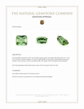 6.89 Ct. Green Tourmaline from Mozambique Appraisal