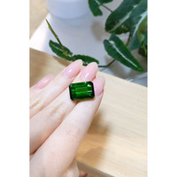 15.07 Ct. Tourmaline from Brazil Life Style