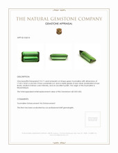 10.17 Ct. Tourmaline from Mozambique Appraisal