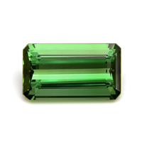 10.17 Ct. Tourmaline from Mozambique Video