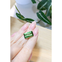 10.17 Ct. Tourmaline from Mozambique Life Style