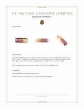 16.64 Ct. Bi Color Tourmaline from Brazil Appraisal