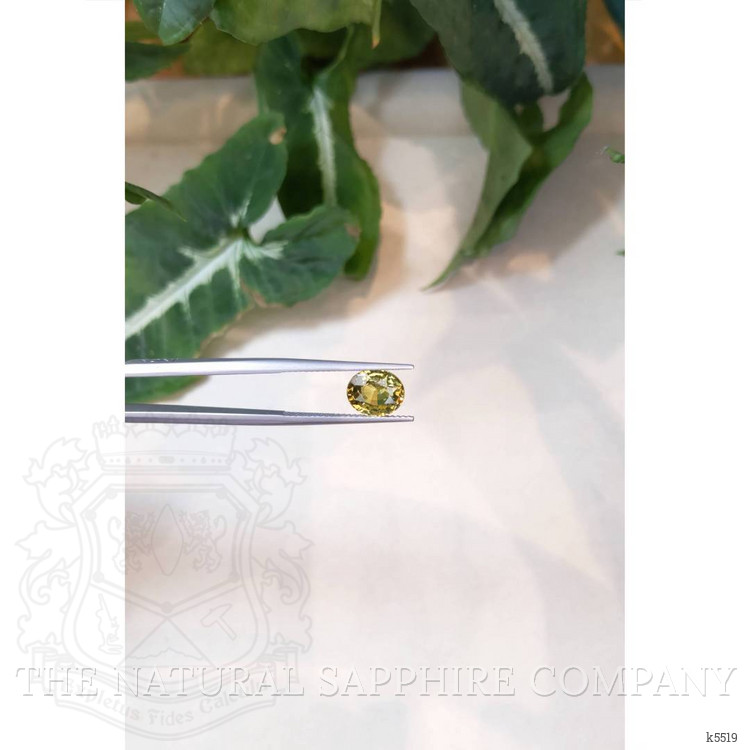 2.84 Ct. Chrysoberyl from Ceylon (Sri Lanka)