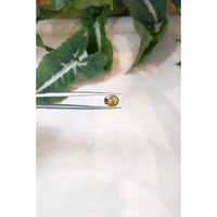 2.84 Ct. Chrysoberyl from Ceylon (Sri Lanka) Life Style