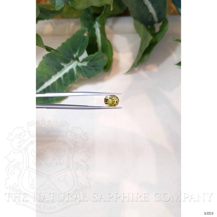 2.84 Ct. Chrysoberyl from Ceylon (Sri Lanka)