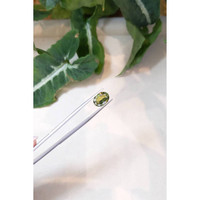 3.12 Ct. Chrysoberyl from Ceylon (Sri Lanka) Life Style