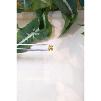 1.44 Ct. Chrysoberyl from Ceylon (Sri Lanka) Life Style