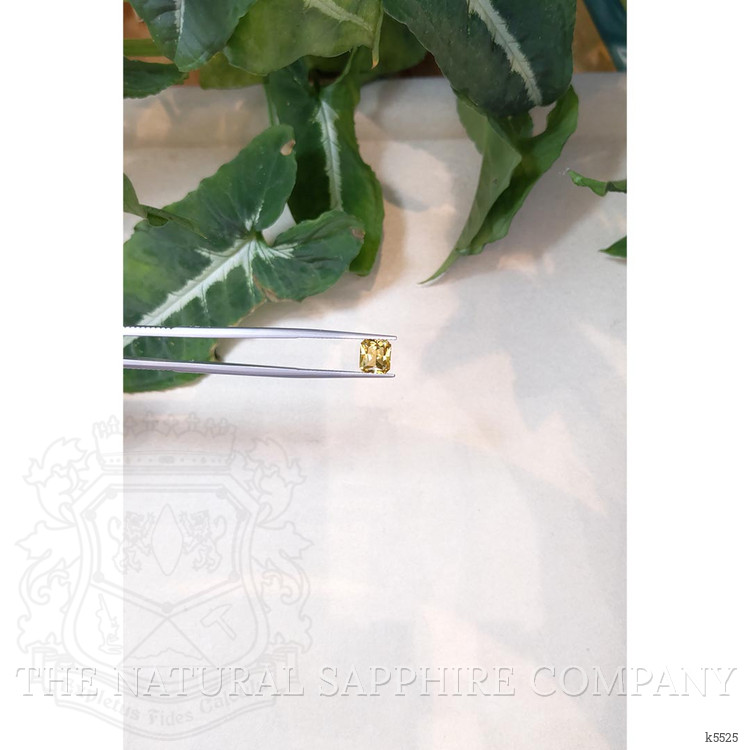 1.44 Ct. Chrysoberyl from Ceylon (Sri Lanka)