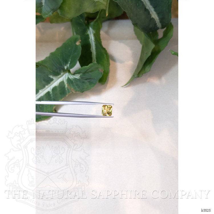 1.44 Ct. Chrysoberyl from Ceylon (Sri Lanka)