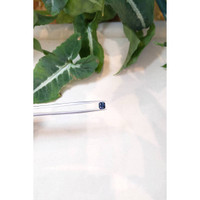 1.12 Ct. Spinel from Ceylon (Sri Lanka) Life Style