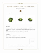 1.07 Ct. Chrysoberyl from Ceylon (Sri Lanka) Appraisal
