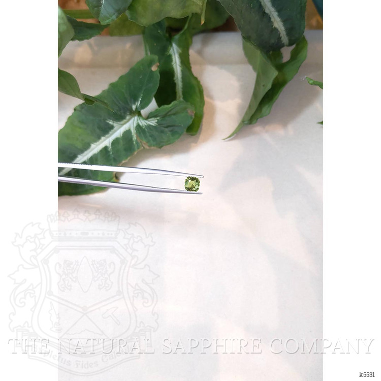 1.07 Ct. Chrysoberyl from Ceylon (Sri Lanka)