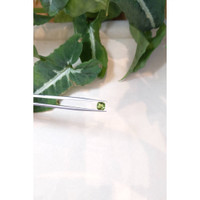 1.07 Ct. Chrysoberyl from Ceylon (Sri Lanka) Life Style