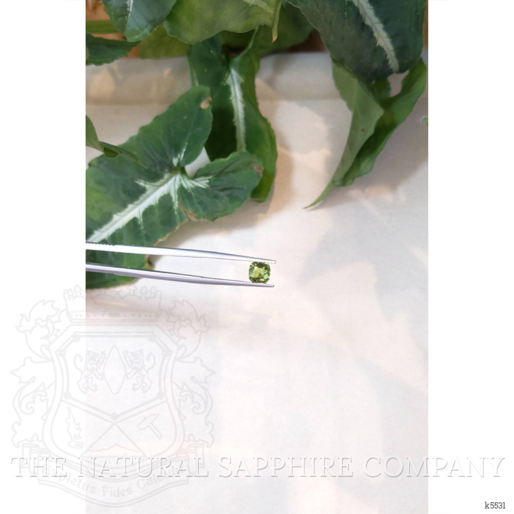 1.07 Ct. Chrysoberyl from Ceylon (Sri Lanka)