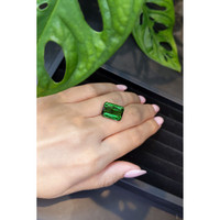 12.67 Ct. Tourmaline from Brazil Life Style