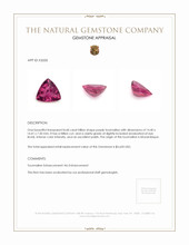 8.68 Ct. Tourmaline from Mozambique Appraisal