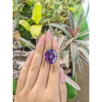 26.90 Ct. Amethyst from Brazil Life Style