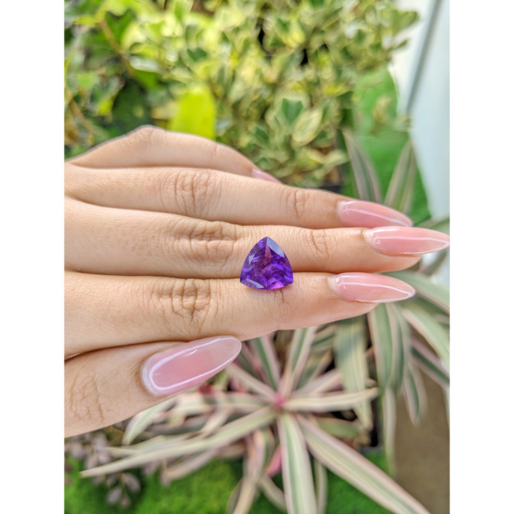 4.95 Ct. Amethyst from Brazil