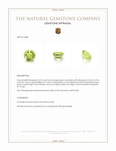 0.92 Ct. Tourmaline from Republic of Congo Appraisal