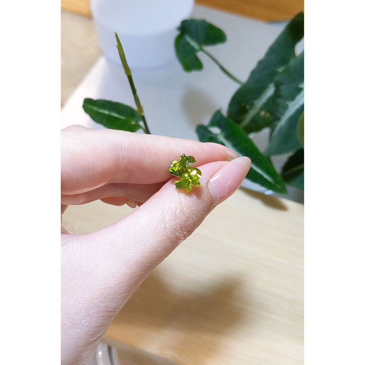 4.14 Ct. Peridot from Madagascar