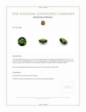 1.21 Ct. Tourmaline from Brazil Appraisal