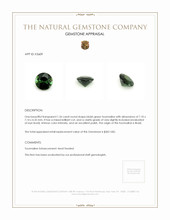 1.26 Ct. Tourmaline from Brazil Appraisal