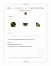 0.90 Ct. Tourmaline from Brazil Appraisal