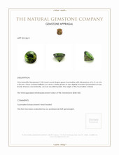 1.00 Ct. Tourmaline from Brazil Appraisal