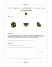 1.57 Ct. Tourmaline from Brazil Appraisal