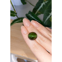 19.25 Ct. Cabochon Tourmaline from Brazil Life Style