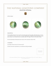 9.22 Ct. Star Tourmaline from Brazil Appraisal