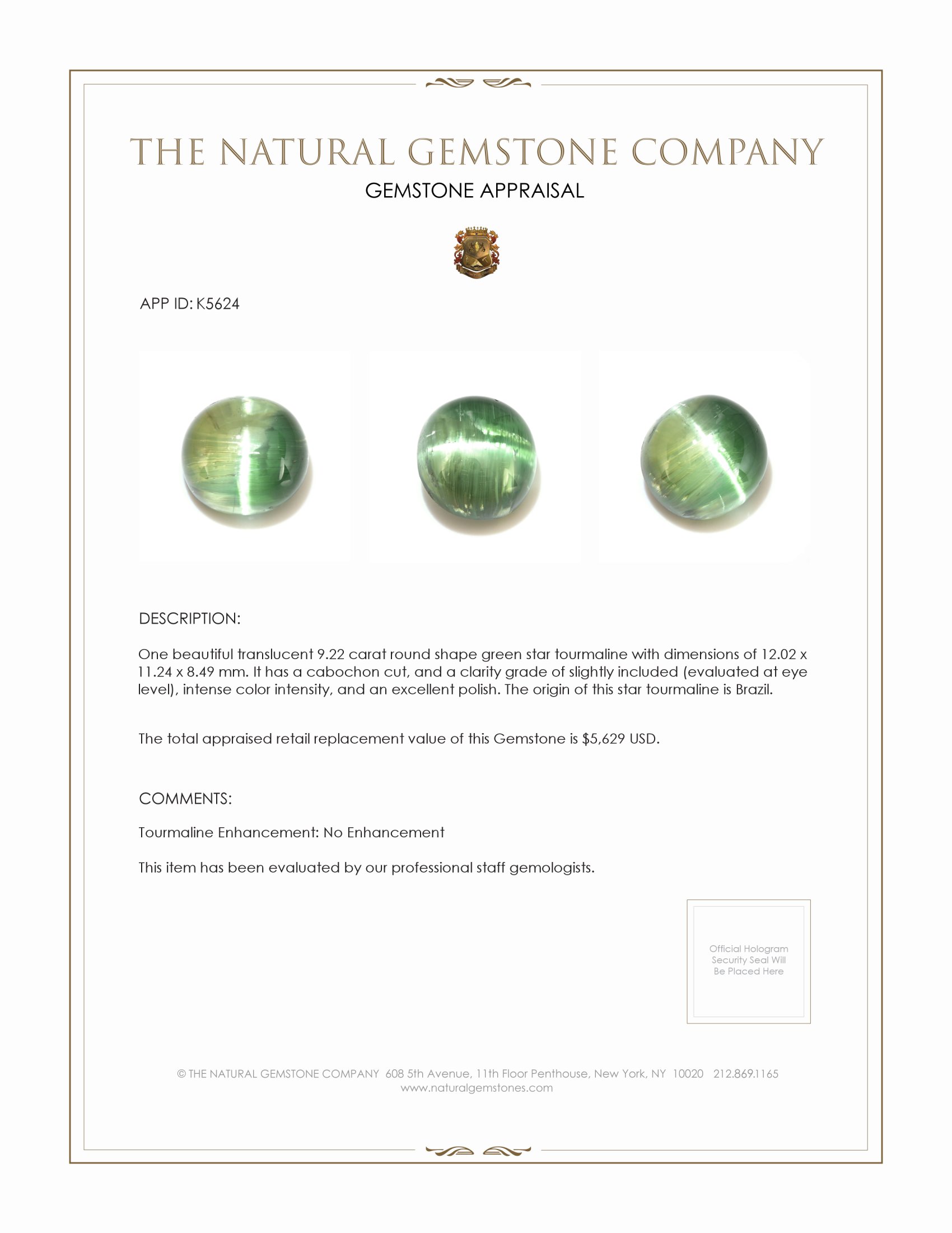 9.22 Ct. Star Tourmaline from Brazil