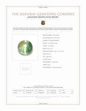 9.22 Ct. Star Tourmaline from Brazil Scan Report