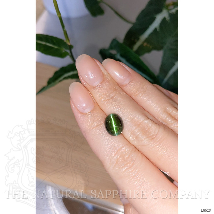 5.40 Ct. Star Tourmaline from Brazil