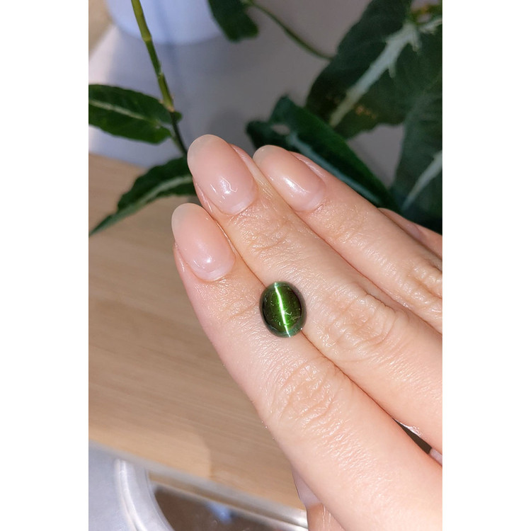 5.40 Ct. Star Tourmaline from Brazil