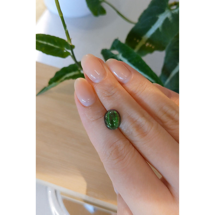 5.40 Ct. Star Tourmaline from Brazil