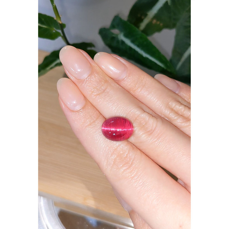 11.93 Ct. Cabochon Rubellite Tourmaline from Brazil