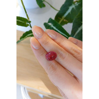 11.93 Ct. Cabochon Rubellite Tourmaline from Brazil Life Style
