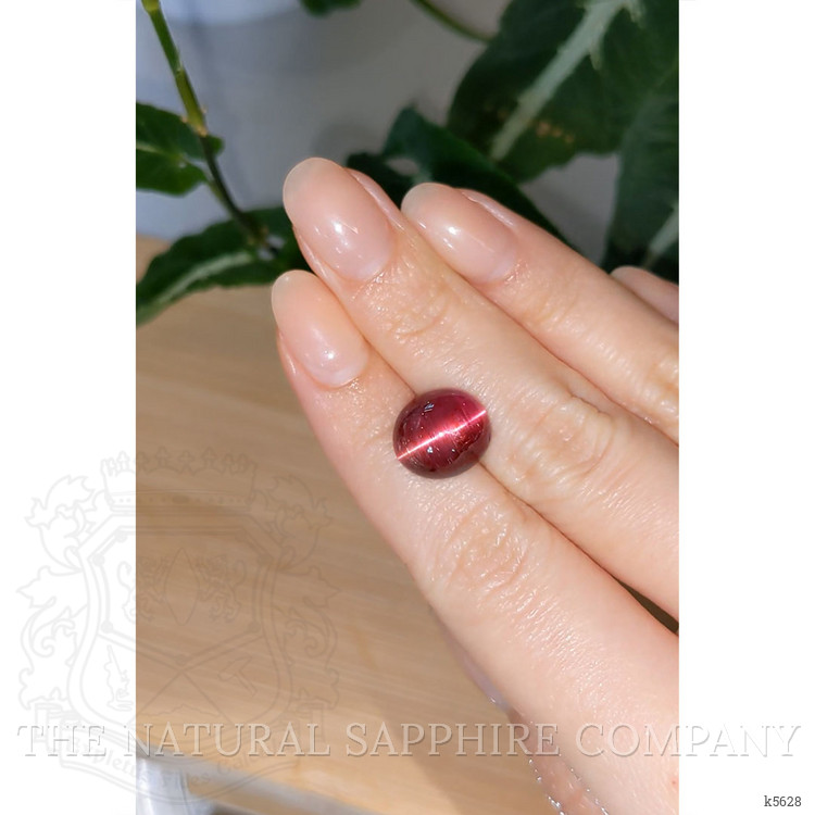 9.97 Ct. Cabochon Rubellite Tourmaline from Brazil