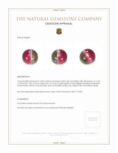 14.83 Ct. Cabochon Tourmaline from Brazil Appraisal