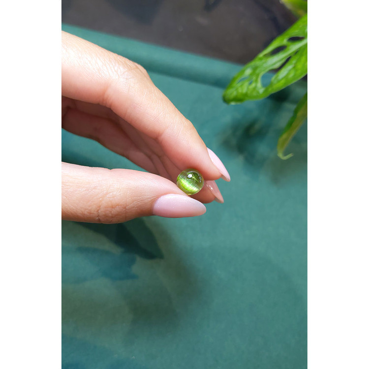 4.03 Ct. Star Tourmaline from Brazil