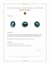 7.98 Ct. Star Tourmaline from Brazil Appraisal