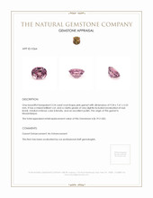 3.24 Ct. Garnet from Mozambique Appraisal
