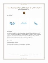 3.89 Ct. Swiss Blue Topaz from Ceylon (Sri Lanka) Appraisal