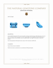 9.93 Ct. Swiss Blue Topaz from Ceylon (Sri Lanka) Appraisal