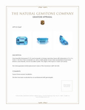 9.70 Ct. Topaz from Ceylon (Sri Lanka) Appraisal