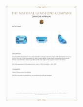 9.70 Ct. Swiss Blue Topaz from Ceylon (Sri Lanka) Appraisal